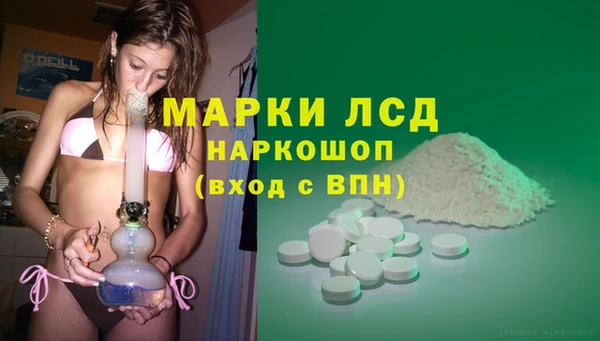 ГАЛЛЮЦИНОГЕННЫЕ ГРИБЫ Осташков