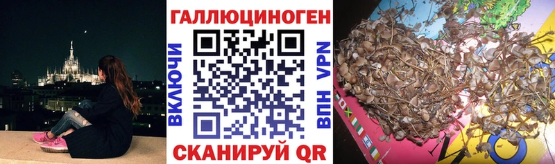 Псилоцибиновые грибы мицелий  Купить где  Высоковск 